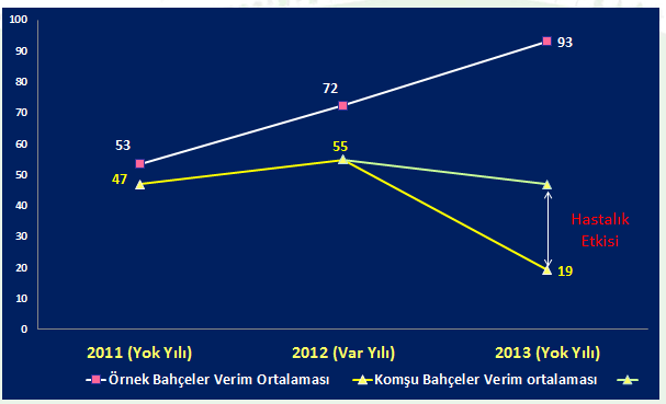 Çizelge 4: Proje uygulama bahçeleri ile Komşu bahçelerde verim ortalamaları Köy Tarım Tipi 2011 Verim (kg) 2012 Verim (kg) 2013 Verim (kg) Gökçepayam Komşu Bahçeler 41,0 52,3 16,8 Proje Bahçeleri