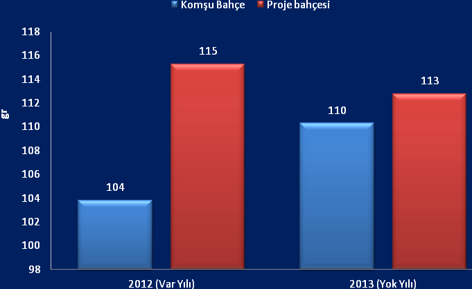 4.2. Meyve Kalitesi Proje uygulaması yapılan köylerden alınan fıstık örneklerinde belirlenen kırmızı kabuklu 100 dane ağırlıkları ile bunların iç ağırlıkları, çıtlama oranları ve hesaplanan randıman