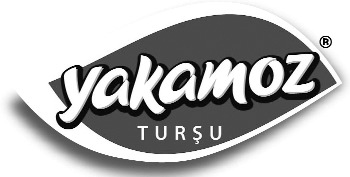 www.corumhakimiyet.net (Ç.