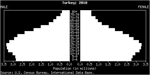 Yeşim Gökçe Kutsal Türkiye de yaşa göre nüfus dağılımı