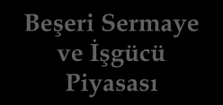 Makroekonomik İstikrar Beşeri Sermaye ve İşgücü Piyasası Teknoloji ve Yenilik Fiziki Altyapı Kurumsal Kalite Verimlilik artışı ve sanayileşmenin hızlandırılması yoluyla ihracata dayalı, özel sektör