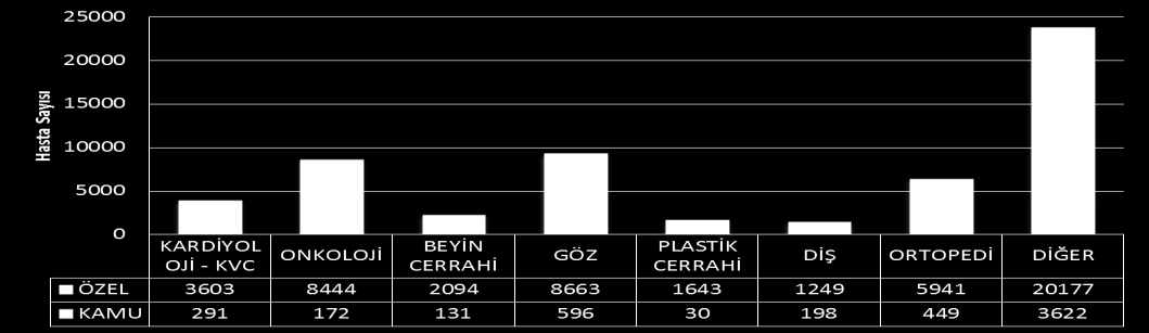 SAĞLIK TURİZMİ İSTATİSTİKLERİ Sağlık Turizmi