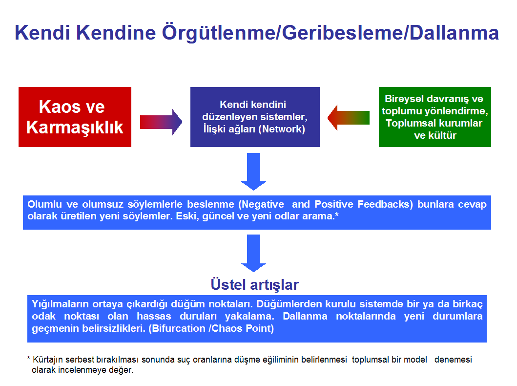 İnternete girip CAS yazarsanız bu ve benzeri şekillerle karşılaşabilirsiniz. Daha çok fizik ve moleküler biyoloji örnekleriyle karşılaşma ihtimaliniz oldukça fazla.