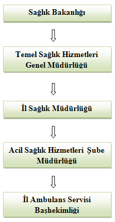 Sağlık Hizmetleri Şube Müdürlüğü tarafından denetlenir ve koordine edilir (Acil Sağlık Hizmetleri Yönetmeliği, 2000). ASH nin yürütülmesinde il düzeyine kadar olan yönetim şeması Şekil 3.