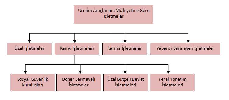 sinema olarak eğlence hizmetlerinde, hastane gibi sağlık hizmetlerinde, okul örneğindeki gibi eğitim ve öğretim hizmetlerinde, banka örneğindeki gibi sigorta ve finansman hizmetlerinde, ulaşım