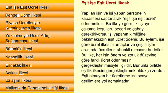 12.2. ÜCRETLEME İLKELERİ İnsan kaynakları yönetimi sürecinin en önemli öğesi olarak ücretleme etkinliğinin, öngörülen amaçlara hizmet edebilmesi için