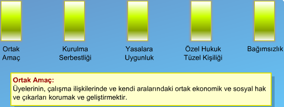 ibaresi karşısında ikinci görüşün doğru olduğuna inanıyoruz.