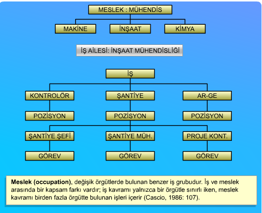 BÖLÜM-3 KADROLAMA İŞ ANALİZİ Bölüm Hedefi Bu bölümün temel amacı okuyucuların; iş ile ilgili kavramlar ve terminolojisi, iş analizi kavramı, iş analizi sırasında yapılan faaliyetler iş tanımlarının