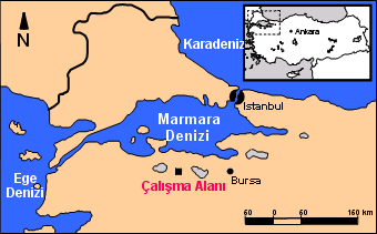 görüntüsünün parsel tabanlı sınıflandırma yöntemi ile sınıflandırılması anlatılmaktadır.