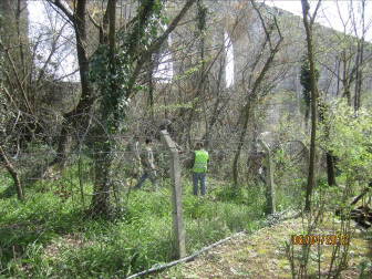 I. Faz Su Kemeri sınırında ve Ormanboyu nda tel örgü çekilmesi için ot ve kuru dal temizliği yapılmıştır. I. Faz Su Kemeri sınırı temizlik 4.1.2.