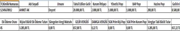 Açılan ekranda hesaplandı mesajını görene kadar bekleyiniz. Daha sonra Döner Sermaye Ek Ödeme Ayrıntılı Bordrosu butonuna tıklayarak ayrıntılı bordro dökümünü alabilirsiniz.