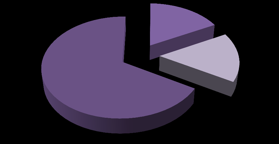17% TR31 Bölgesi 16% TR32 Bölgesi TR33 Bölgesi 67% Grafik 3.