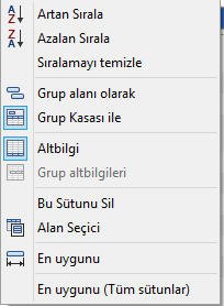 1 2 3 4 5 6 Ayrıca bu raporlamada gruplama yapılabilir. Gruplama yapılacak olan sütuna sağ tıkladıktan sonra Grup Kasası ile seçilir ve başlık sürüklenerek bu kısma atılır.