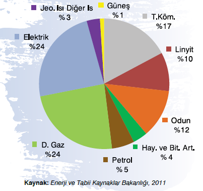 ENERJİ TÜRLERİNE GÖRE 2009