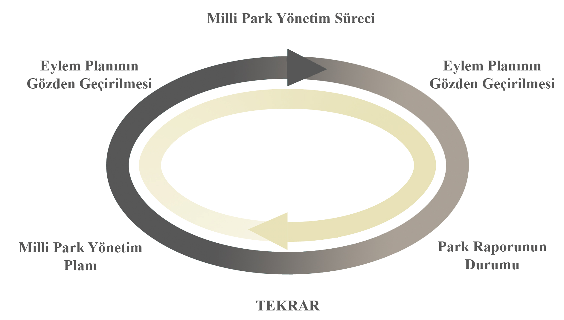 arasındaki uyumu gösterebilmek, uygun formdaki rekreasyon için fırsatlar vermektir (Carter, 2003).