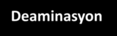 Amin grubunun uzaklaştırılması: 1. Doğrudan uzaklaştırma R-CH 2 CH-NH 2 -COOH --------> R-CH=CH-COOH + NH 3 2.