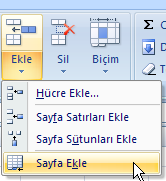 3 6. Excel 6.1. Çalışma Kitabı ve Sayfası Excel e girdiğimizde program bize Çalışma Kitabı adını taşıyan ve başlangıçta 3 adet çalışma sayfasından oluşan bir dosya verir.