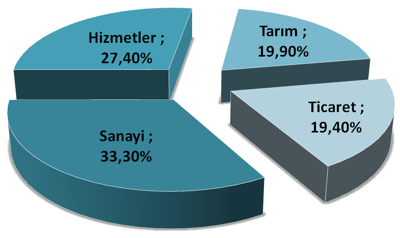 BÖLGEYİ ANLAMAK T.C.