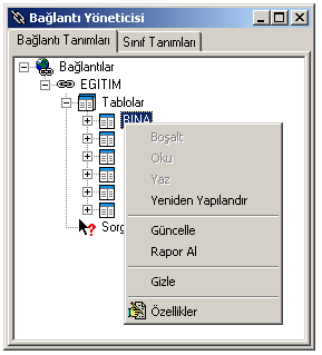 İstiyorum kısmı işaretlenir ve XML şablon olarak kaydedilen dosyanın yeri gösterilir. Sil veritabanıyla olan bağlantıyı siler. seçilen veritabanını gösterir.