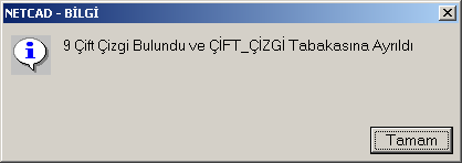 Çıkan ekranda bize bulduğu Çift Çizgileri hangi tabakaya atacağını soran ve ayıklanmasını istediğimiz çizgilerin hangileri olduğunu seçmemizi isteyen bazı değişkenler sorulacaktır.