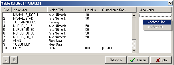 adımından Netcad Spatial satırı seçerek yapılabilir. Tablonun Spatial olması demek objenin koordinatlarının ve obje şeklinin veritabanında tutulması demektir.