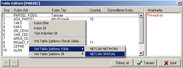 İşleme başlamak için NETCAD/Örnekler/GIS/PROJE2 dizini içindeki PARSEL.NCZ dosyasını açalım. Bu dosya veritabanı bağlantılı bir ncz dosyasıdır.