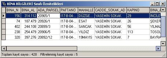 Böylece filtreyi uyguladık ve filtreye kaç kayıtın girdiğini de otomatik olarak görmüş olduk. Burada kullanılabilecek filtrelerden bazıları aşağıda verilmiştir. * : tümü.