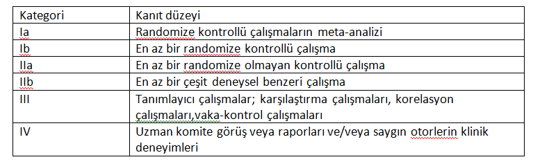 Kanıt Düzeyi