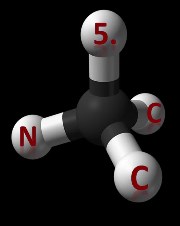 Catalysis Society 5 th