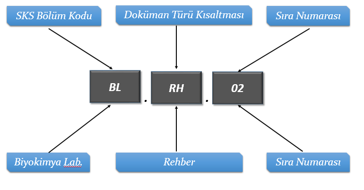 Örnek 2; Doküman Kodu: BL.RH.02 BL: Biyokimya Laboratuvarı RH: Rehber 02: Rehbere verilen sıra numarası Yukarıdaki açıklamalar doğrultusunda BL.RH.02 kodu bize dokümanın, Biyokimya Laboratuvarı bölümünün 2 numaralı rehberi olduğunu göstermektedir.