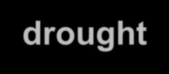 DROUGHT MANAGEMENT ACTION PLAN THE PLAN Legislative framework was set in 2007. Policy objective: to establish strategies and measures to minimize the impact of drought on farming and food security.