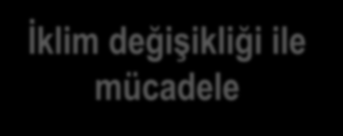 AB Çevre Politikasının Tarihçesi Paris Zirvesi (1972) Avrupa Tek Senedi (1987) Lizbon Anlaşması (1 Aralık 2009) Çevre Eylem