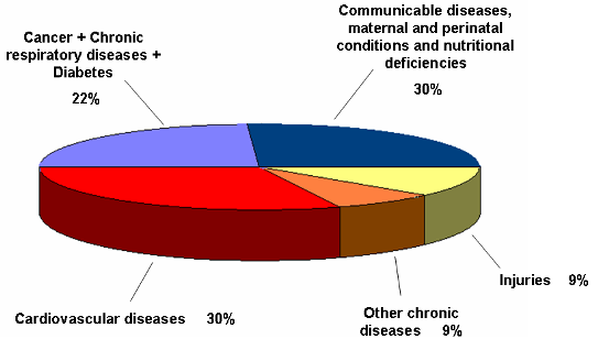 Dünya Sağlık Örgütü nün verilerine göre dünyada ölüm nedenleri arasında kardiyovasküler hastalıklar ilk sırada yer almaktadır Tüm global ölümlerin %30 2005 de 17.