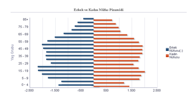 Şekil 3. 2013 Yılı Saruhanlı TSM Bölgesi Nüfus Piramidi Tablo 4.