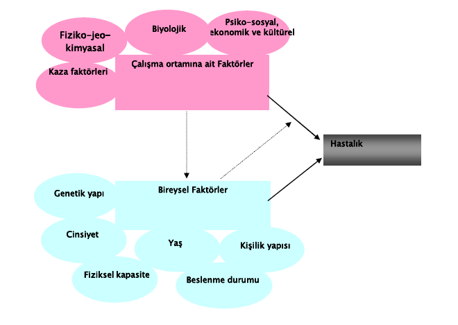 İş ve Sağlık İlişkileri Çalışma ortamına ait faktörler ve bireysel