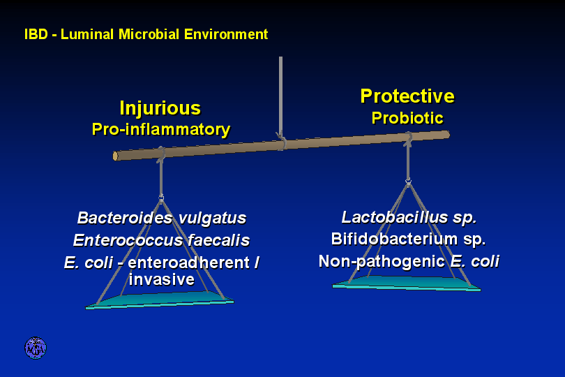 BALANCE OF COMMENSAL BACTERIAL COMPONENTS 29