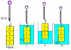 II- Gen III-Nükleotid IV- DNA V- Fosfat Yukarıdaki yapıların büyükten küçüğe doğru sıralanışı hangi seçenekte doğru verilmiştir?