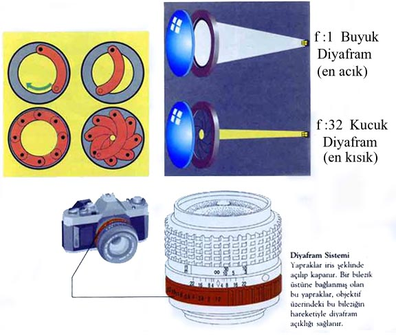 Şekil 21 Örneğin 8 diyaframdan bir basamak ilerleyip 11 diyaframa gelirseniz, giren ışık miktarını yarı yarıya düşürmüş olursunuz.