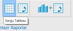 Hazır Raporlar Hazır Raporlar temelde Netsis Modelleri ni esas alan, daha özet bilgi içeren raporların oluşmasını sağlar.