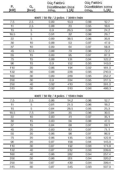 Tablo 1:Elektrik motorlarında güç