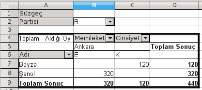 Sayfa alanlarına sürüklediğimiz Partisi alanında tümü seçili olduğuna göre tablomuzu şu şekilde okuyabiliriz: Tüm oy toplamı : 5165 Beyza isimli üyelerin oy toplamı : 1400 Ankara'lı tüm erkek