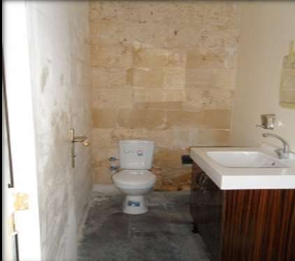 183 Şekil 4.217. Cebeciyan Evi Holden Genel Görünüm, 2011 Rölöve planına göre bu kısımda; banyo ve bir mutfak yer almaktadır. Banyo; 1,74 x 1,80 m., mutfak ise 1,89 x 3,51 m. boyutlarındadır.