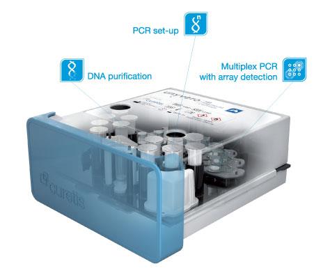 Unyvero TEM SHV CTX-M DHA EBC OXA-51 KPC İntegron