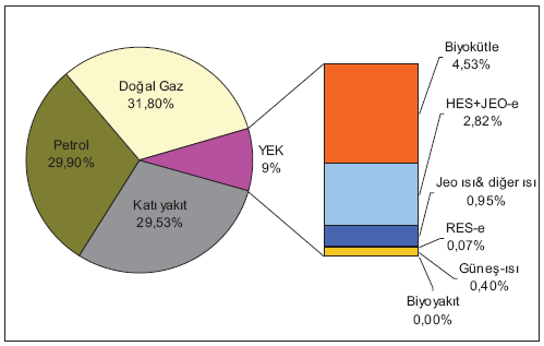 Şekil 3.5 Türkiye Birincil Enerji Kaynakları Arzının Kaynaklara Dağılımı(2008), (Türkiye Enerji Raporu, 2009).