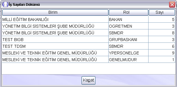 Eğer DYS üzerinde birden fazla role(göreve) sahipseniz, rolleriniz üzerindeki iş sayıları dökümünü görmek için "İş Özeti" butonuna