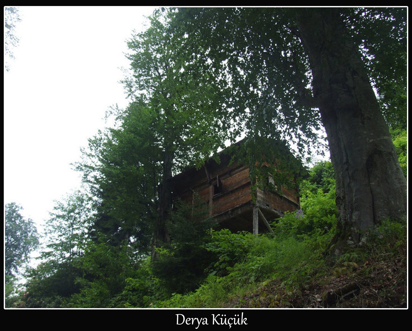 RİZE TİCARET MESLEK LİSESİ FOTOĞRAFÇILIK KULÜBÜ YAYINIDIR //