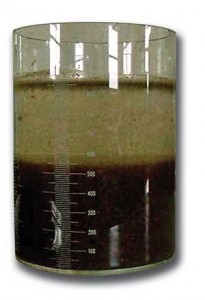 Materyal ve Metot Çamur örnekleri: evsel atıksulardan besi maddesi giderimine yönelik (anaerobik, anoksik ve aerobik) çalıştırılan bir aktif çamur