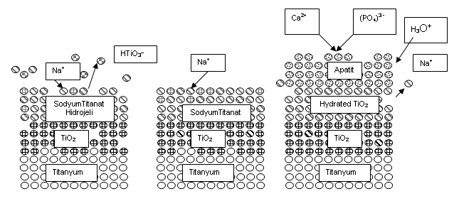 Pasinli A. 1, Aksoy R., S. 2 Teknolojik Araştırmalar: BTED 2010 (1) 41-51 Negatif yüklenen HTiO 3 -.nh 2 O, sodyum iyonlarını yapısı içine alır.