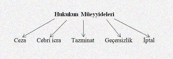 Örneğin, bir insanı süsüp öldüren bir öküzün öldürülmesini emreden bir hukuk kuralı olamaz. Hukuk kurallarının önemli özelliklerinden biri kişilerin dışa dönük işlem ve eylemlerini düzenlemesidir.