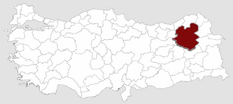 20 adet ilçesi olan Erzurum un en kalabalık ilçesi Yakutiye dir. Erzurum a komşu iller, Bayburt, Erzincan, Bingöl, Muş, Ağrı, Kars, Ardahan, Artvin ve Rize dir.